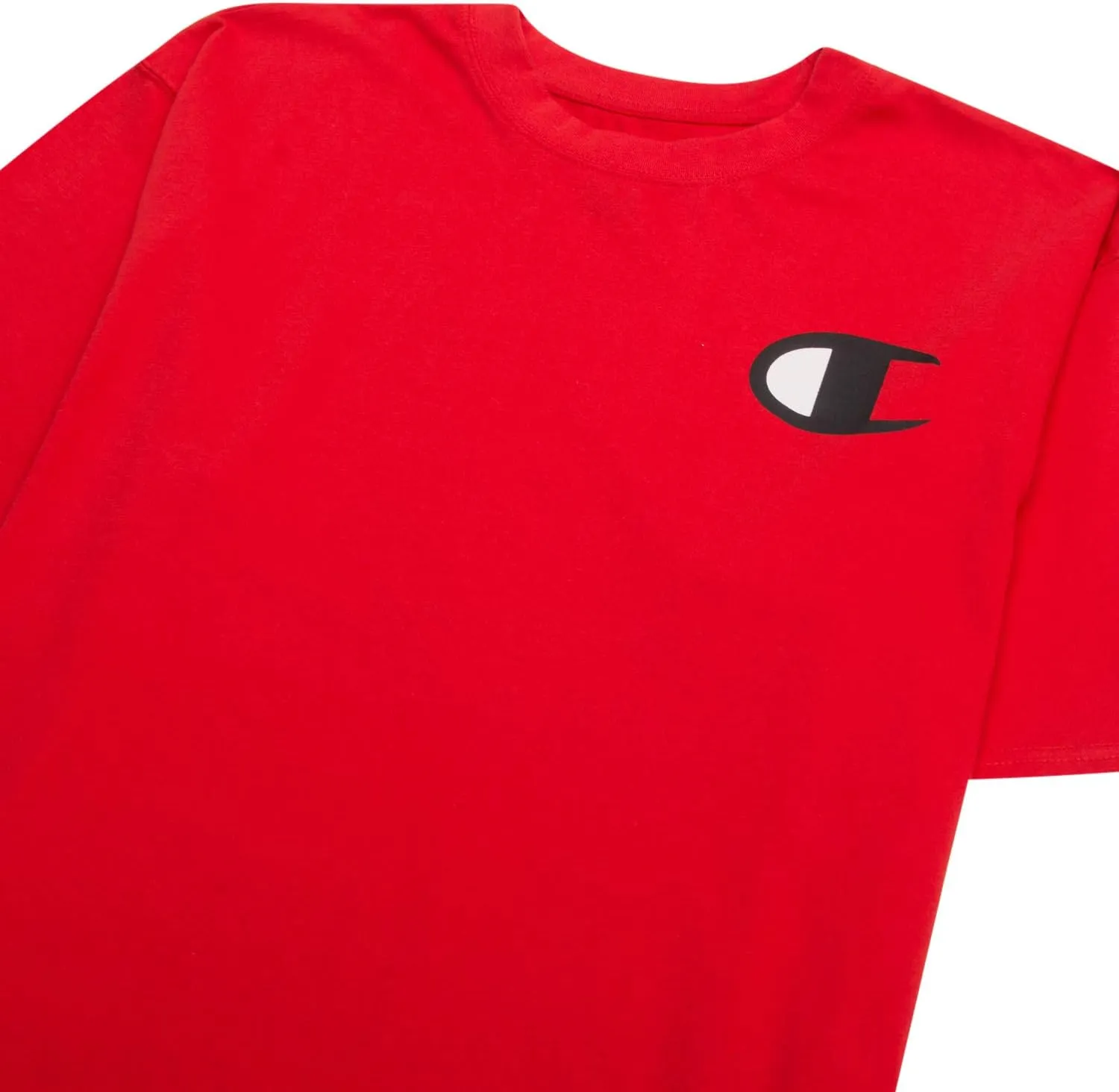 Champion Big and Tall T Shirts for Men  2 Pack Graphic Mens Big and Tall Tees