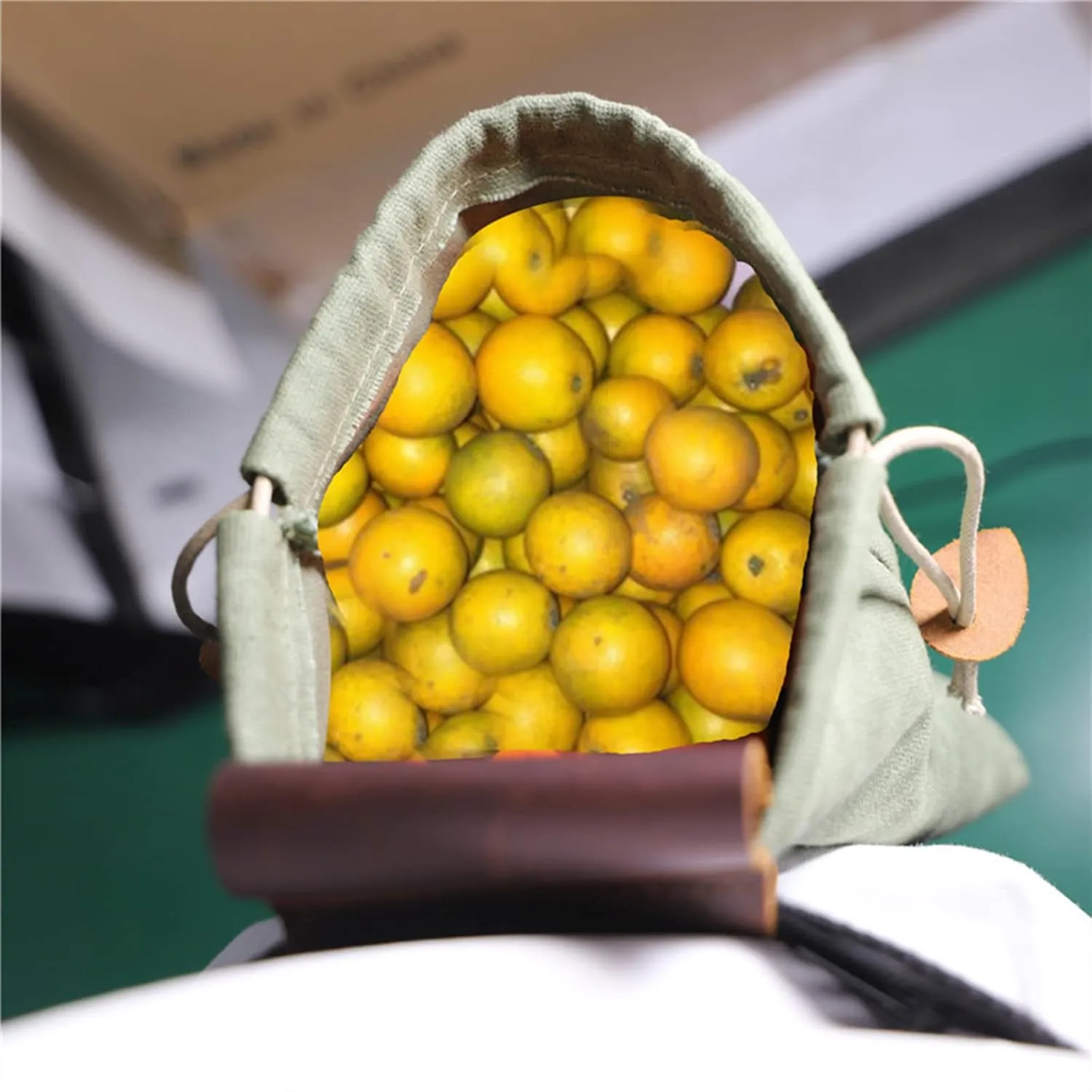 Foraging Bag Waxed Canvas Collapsible, Waxed Canvas Mushroom Foraging Pouch